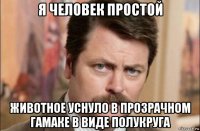 я человек простой животное уснуло в прозрачном гамаке в виде полукруга