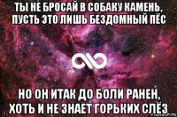 ты не бросай в собаку камень, пусть это лишь бездомный пёс но он итак до боли ранен, хоть и не знает горьких слёз