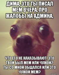 дима, это ты писал мем вчера, про жалобы на админа, что его не наказывают, это твой был мем или чужой? ты со мной общался или это чужой мем?