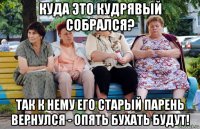 куда это кудрявый собрался? так к нему его старый парень вернулся - опять бухать будут!