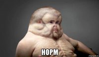  норм