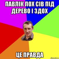 павлік лох сів під дерево і здох це правда