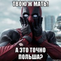 твою ж мать! а это точно польша?