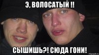 э, волосатый !! сышишь?! сюда гони!