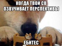 когда твой св озвучивает перспективы ебитес