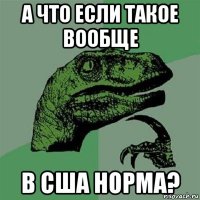 а что если такое вообще в сша норма?