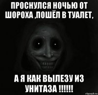 проснулся ночью от шороха ,пошёл в туалет, а я как вылезу из унитаза !!!!!!