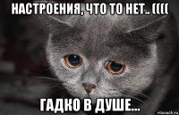 настроения, что то нет.. (((( гадко в душе...