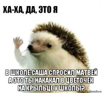  в школе:саша спросил матвей а это ты накакал в цветочек на крыльце у школы?