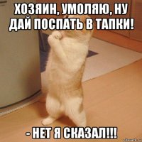 хозяин, умоляю, ну дай поспать в тапки! - нет я сказал!!!