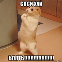 соси хуй блять!!!!!!!!!!!!!!!!!!!