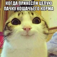 когда принесли целую пачку кошачьего корма 