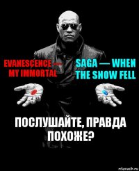 Evanescence — My Immortal Saga — When the Snow Fell Послушайте, правда похоже?