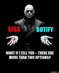 SFSS BOTIFY What if I tell you – there are more than two options?