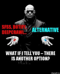 SFSS, Botify, DeepCrawl... Alternative What if I tell you – there is another option?
