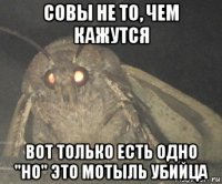 совы не то, чем кажутся вот только есть одно "но" это мотыль убийца