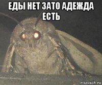 еды нет зато адежда есть 