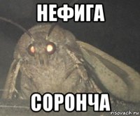 нефига соронча