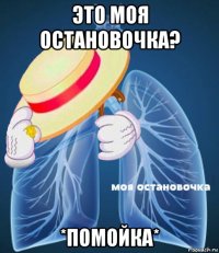 это моя остановочка? *помойка*