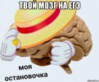 твой мозг на егэ 