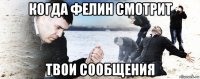 когда фелин смотрит твои сообщения