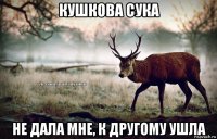 кушкова сука не дала мне, к другому ушла