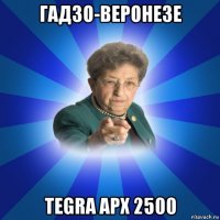 гадзо-веронезе tegra apx 2500