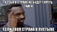 у тебя в стране не будет гореть тайга если твоя страна в пустыне