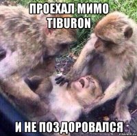 проехал мимо tiburon и не поздоровался