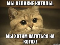 мы великие каталы. мы хотим кататься на котах!