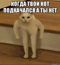 когда твой кот подкачался а ты нет 