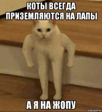 коты всегда приземляются на лапы а я на жопу