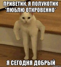 приветик, я полукотик *люблю откровенно* я сегодня добрый