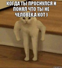 когда ты проснулся и понял что ты не человек,а кот ) 