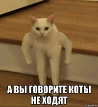  а вы говорите коты не ходят