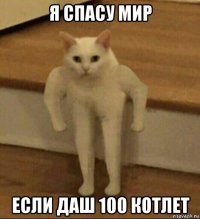 я спасу мир если даш 100 котлет