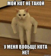 мой кот не такой у меня вообще кота нет