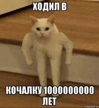 ходил в кочалку 1000000000 лет