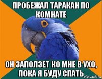 пробежал таракан по комнате он заползет ко мне в ухо, пока я буду спать