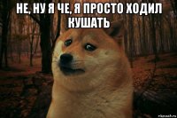 не, ну я че, я просто ходил кушать 