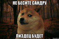 не бесите сандру пиздец будет