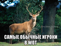  самые обычные игроки в wot