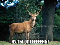  ну ты олеееееень!