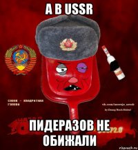 а в ussr пидеразов не обижали