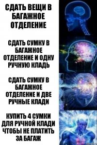 Сдать вещи в багажное отделение Сдать сумку в багажное отделение и одну ручную кладь Сдать сумку в багажное отделение и две ручные клади Купить 4 сумки для ручной клади чтобы не платить за багаж