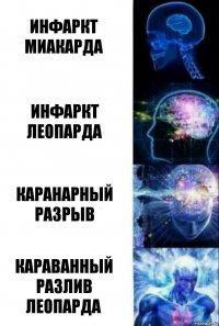 Инфаркт миакарда Инфаркт леопарда Каранарный разрыв Караванный разлив леопарда