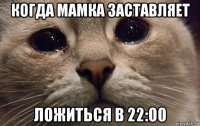 когда мамка заставляет ложиться в 22:00