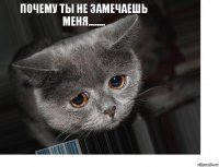 Почему ты не замечаешь меня........ 