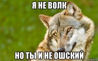 я не волк но ты и не ошский