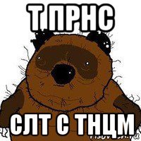 т прнс слт с тнцм